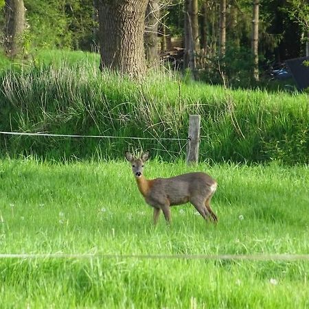 Charmante Ferienwohnung In Idyllischer Lage ยีเวอ ภายนอก รูปภาพ